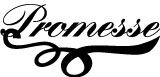 Logo Promesse